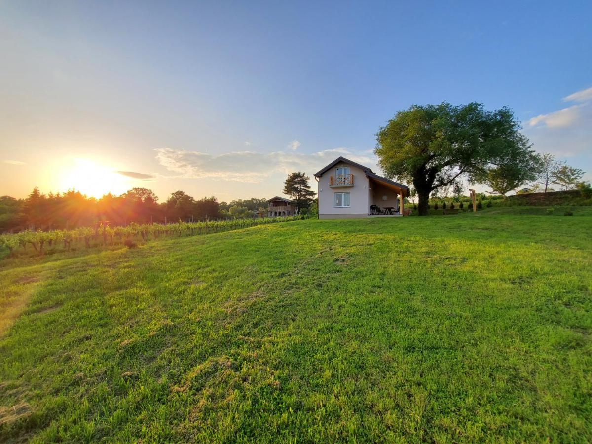 Holiday Home Vinovilla Kutjevo Экстерьер фото